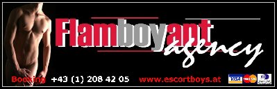banner neu.jpg