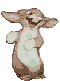 Benutzeravatar