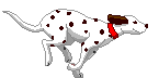 Benutzeravatar