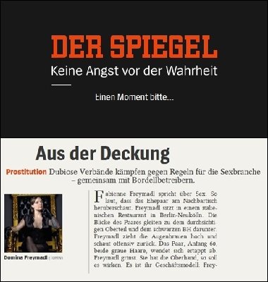 spiegel-vert.jpg