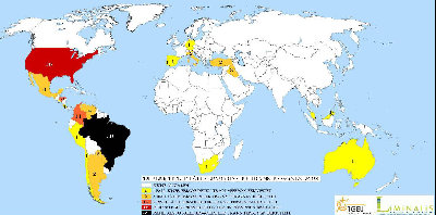 trans-puto-phobe morde 2008.JPG