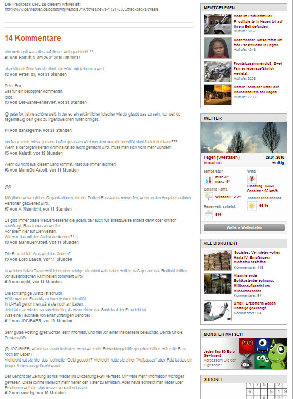 Screenshot der übriggebliebenen Leserkommentare. Foto 26.1.10 21:20