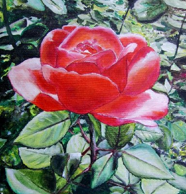Rose.jpg