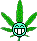 :icon_weed
